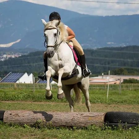 Konukevi Gaestehaus Am Walde - Familie Troller 3*